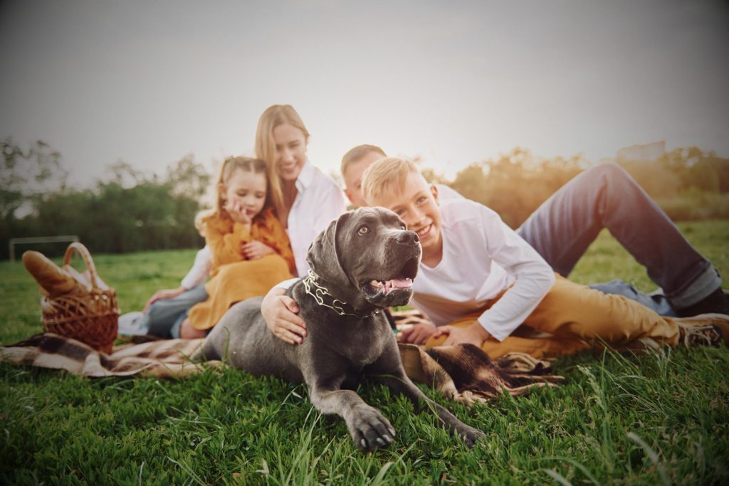 family with a dog outdoors enjoying time together