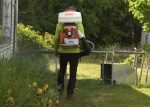 Why Choose Our Durham Region Spider Exterminators
