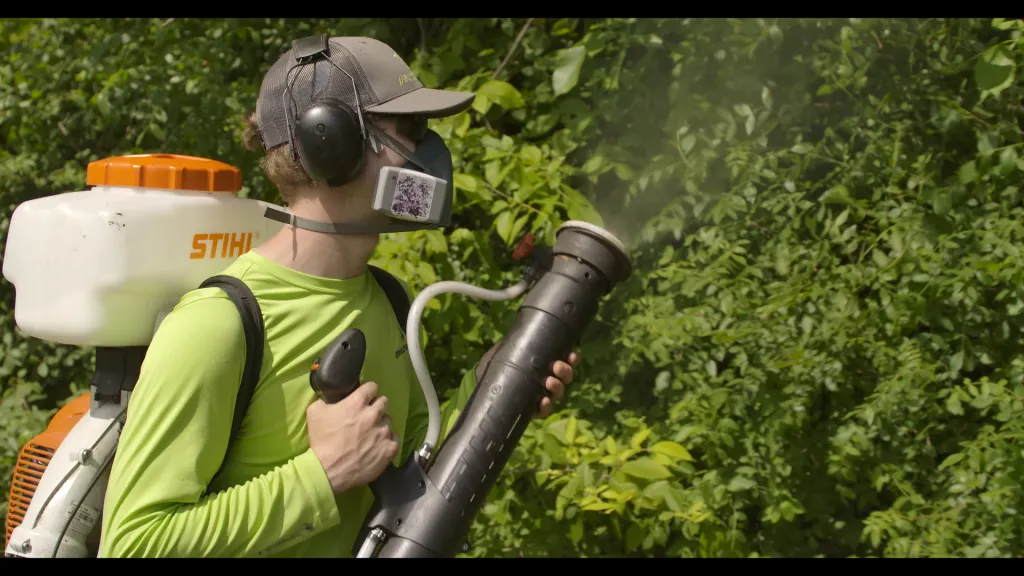 Spider Control Kawartha lakes