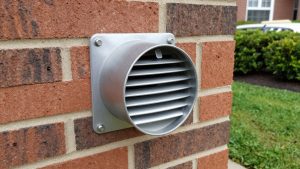 Birds in Dryer Vent: Causes, Risks, and Safe Removal Tips